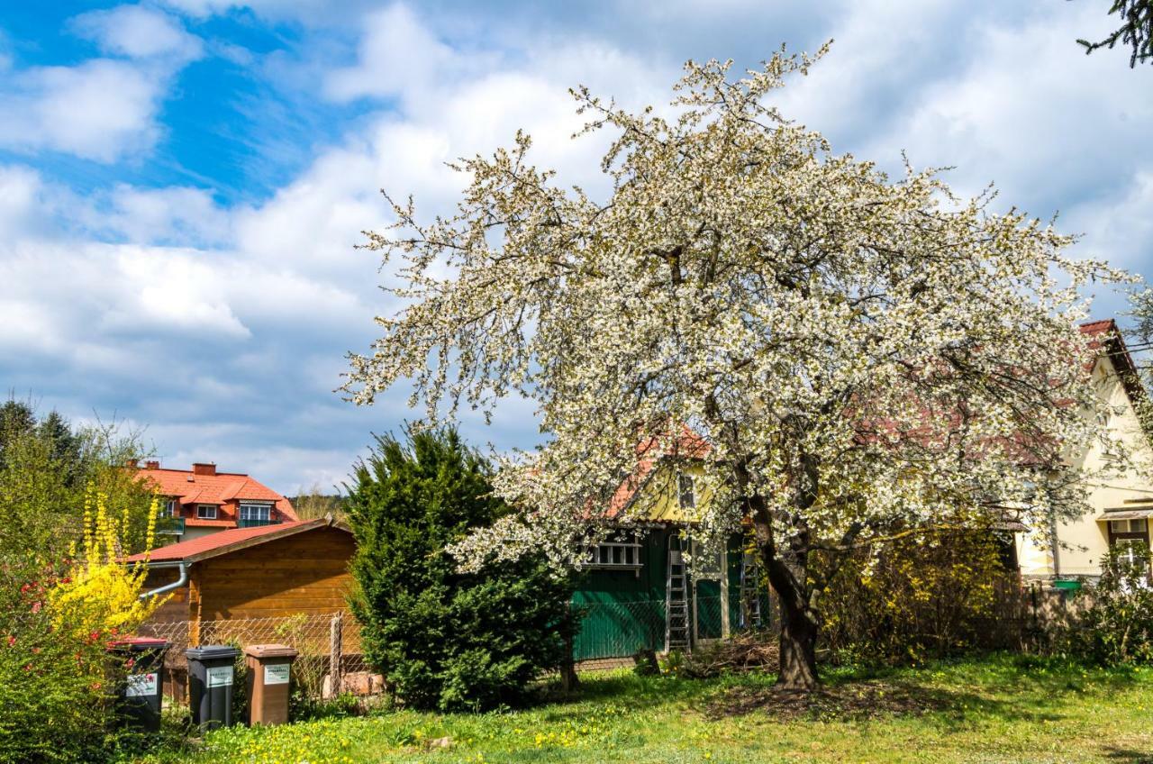 Gemuetliches, Heimeliges Ferienhaus Gars am Kamp Kültér fotó